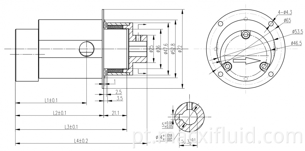 P72 Micro Gear Pump Head